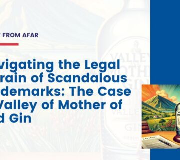 Navigating the Legal Terrain of Scandalous Trademarks: The Case of Valley of Mother of God Gin